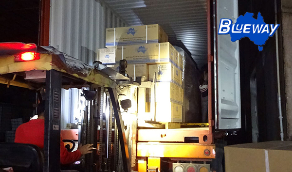 浦路威公司出口-使命必達